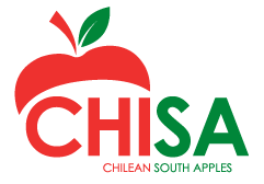 logochisa color